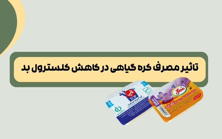 تاثیر مصرف کره گیاهی در کاهش کلسترول بد